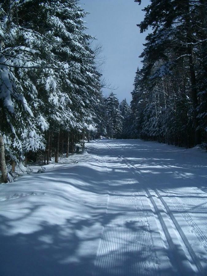 Adirondack Spruce Lodge Уилмингтон Экстерьер фото